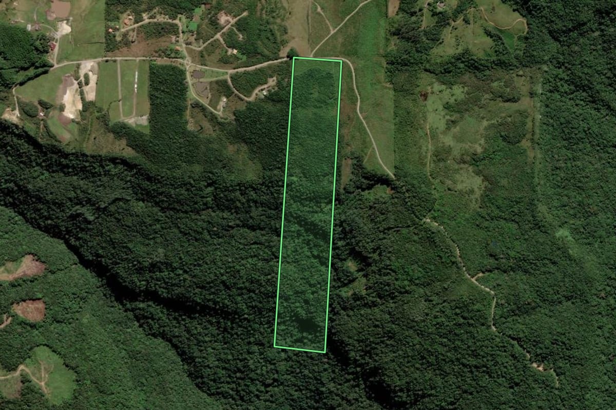 Imagem de satélite do imóvel rural em Santa Rosa de Lima (SC), com o contorno declarado no CAR desenhado por cima.