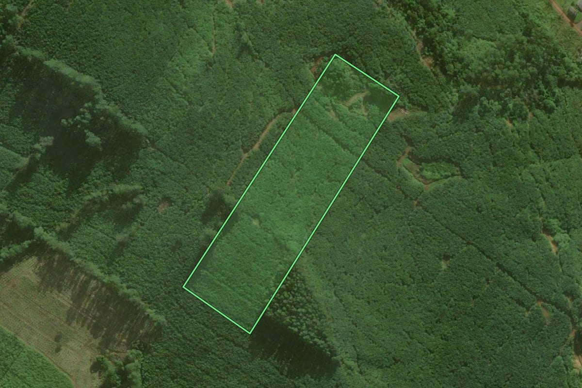 Imagem de satélite do imóvel rural em Santa Rosa do Sul (SC), com o contorno declarado no CAR desenhado por cima.