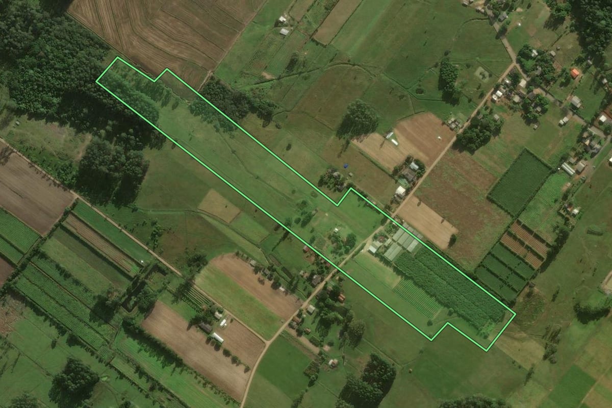 Imagem de satélite do imóvel rural em Santa Rosa do Sul (SC), com o contorno declarado no CAR desenhado por cima.