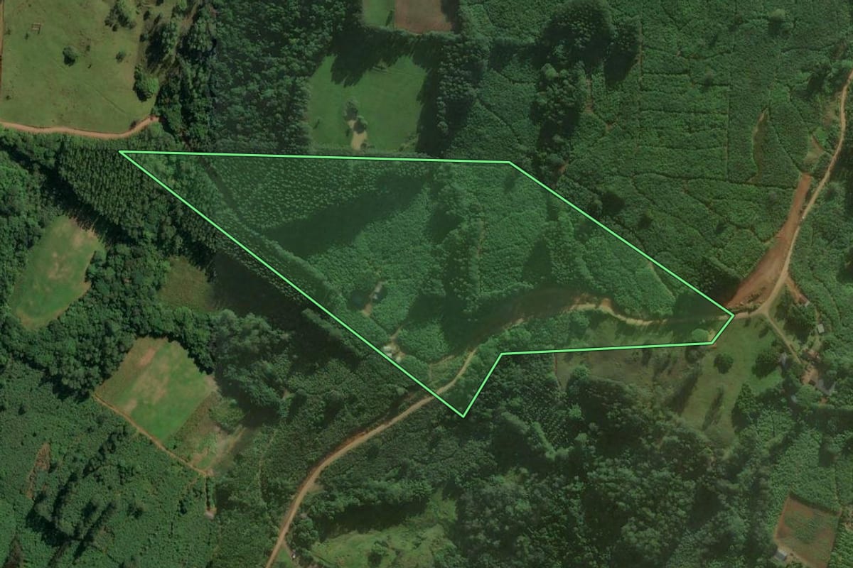 Imagem de satélite do imóvel rural em Santa Rosa do Sul (SC), com o contorno declarado no CAR desenhado por cima.