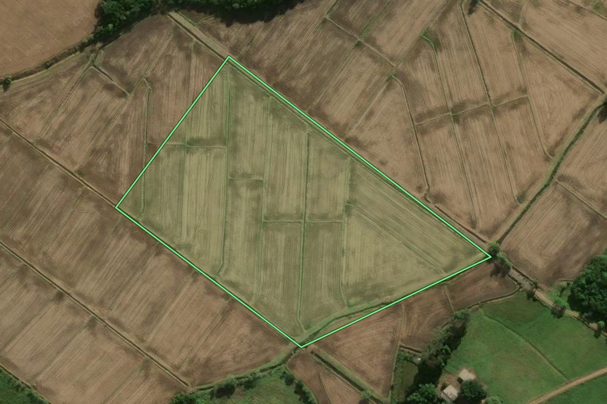 Imagem de satélite do imóvel rural em Santa Rosa do Sul (SC), com o contorno declarado no CAR desenhado por cima.