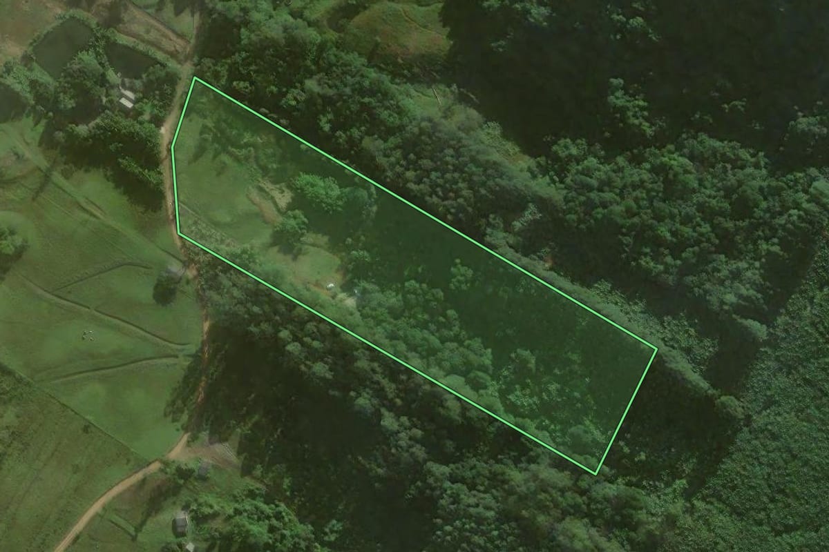 Imagem de satélite do imóvel rural em Santa Rosa do Sul (SC), com o contorno declarado no CAR desenhado por cima.