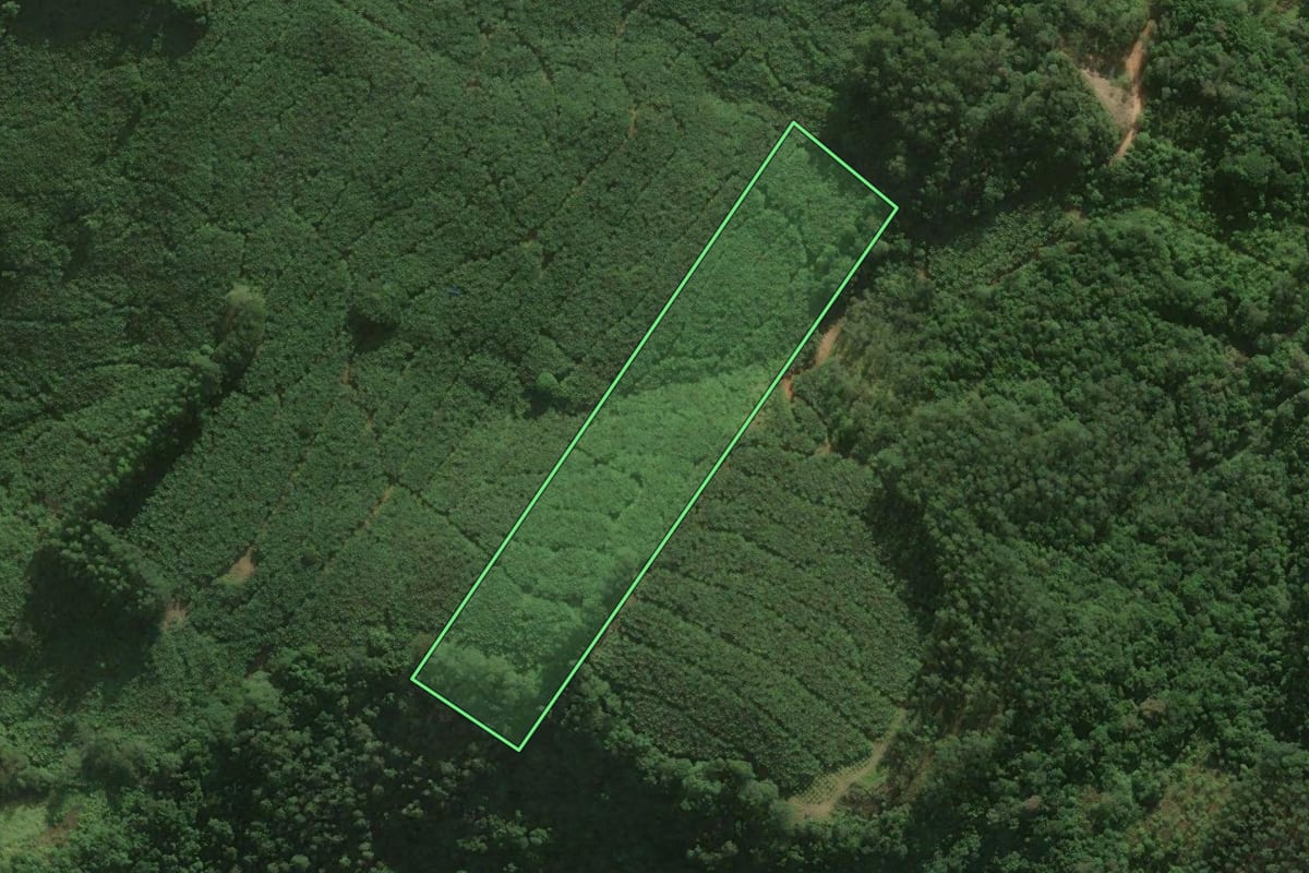 Imagem de satélite do imóvel rural em Santa Rosa do Sul (SC), com o contorno declarado no CAR desenhado por cima.