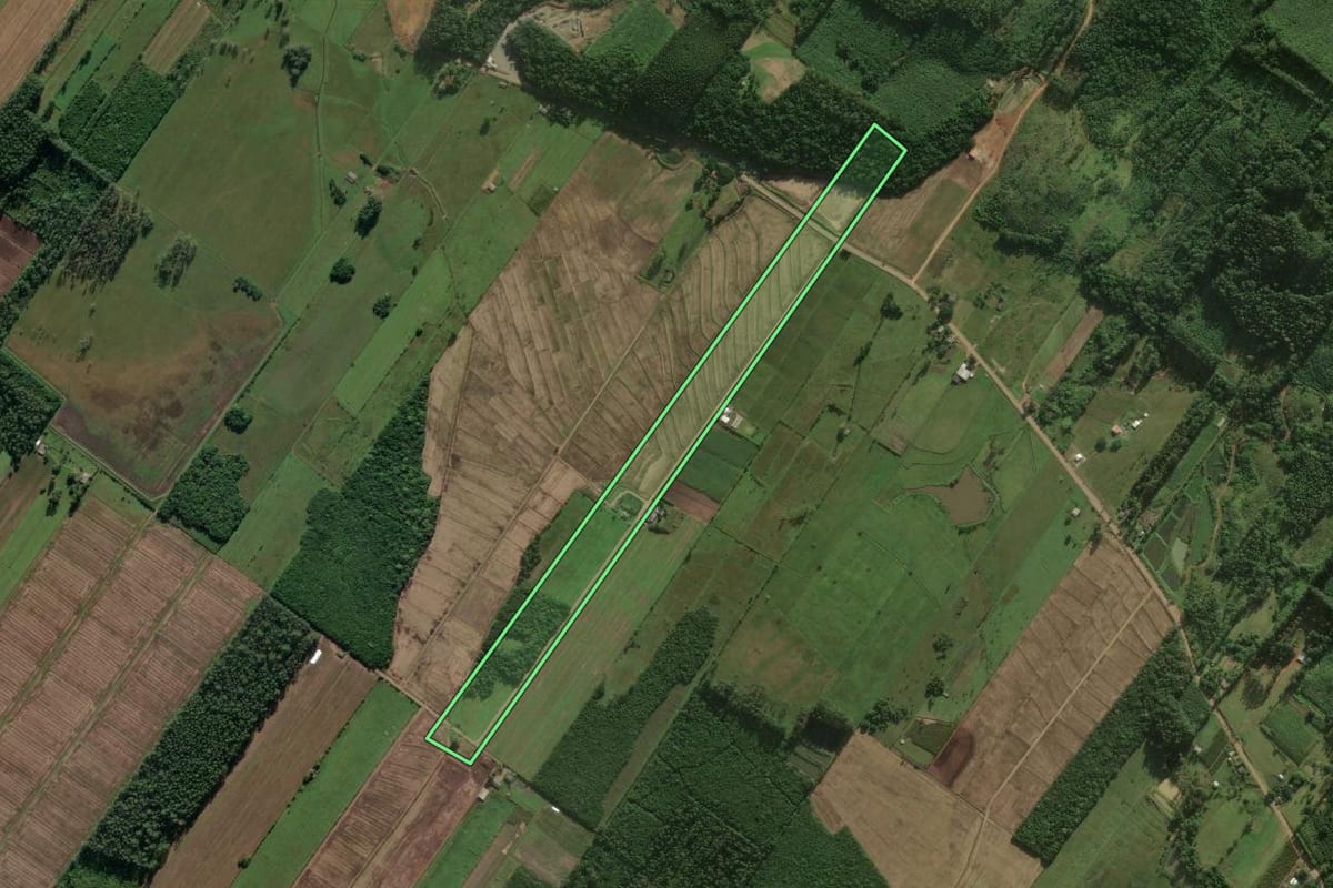 Imagem de satélite do imóvel rural em Santa Rosa do Sul (SC), com o contorno declarado no CAR desenhado por cima.