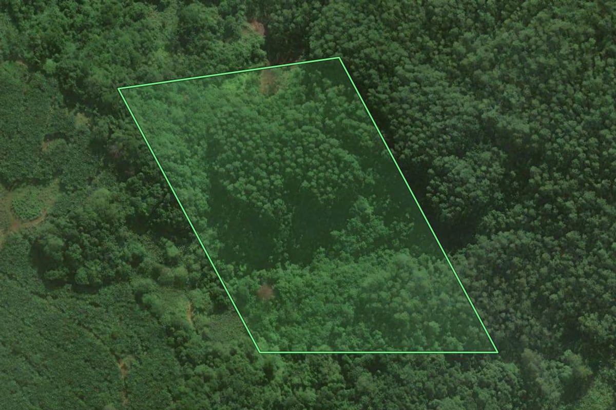 Imagem de satélite do imóvel rural em Santa Rosa do Sul (SC), com o contorno declarado no CAR desenhado por cima.