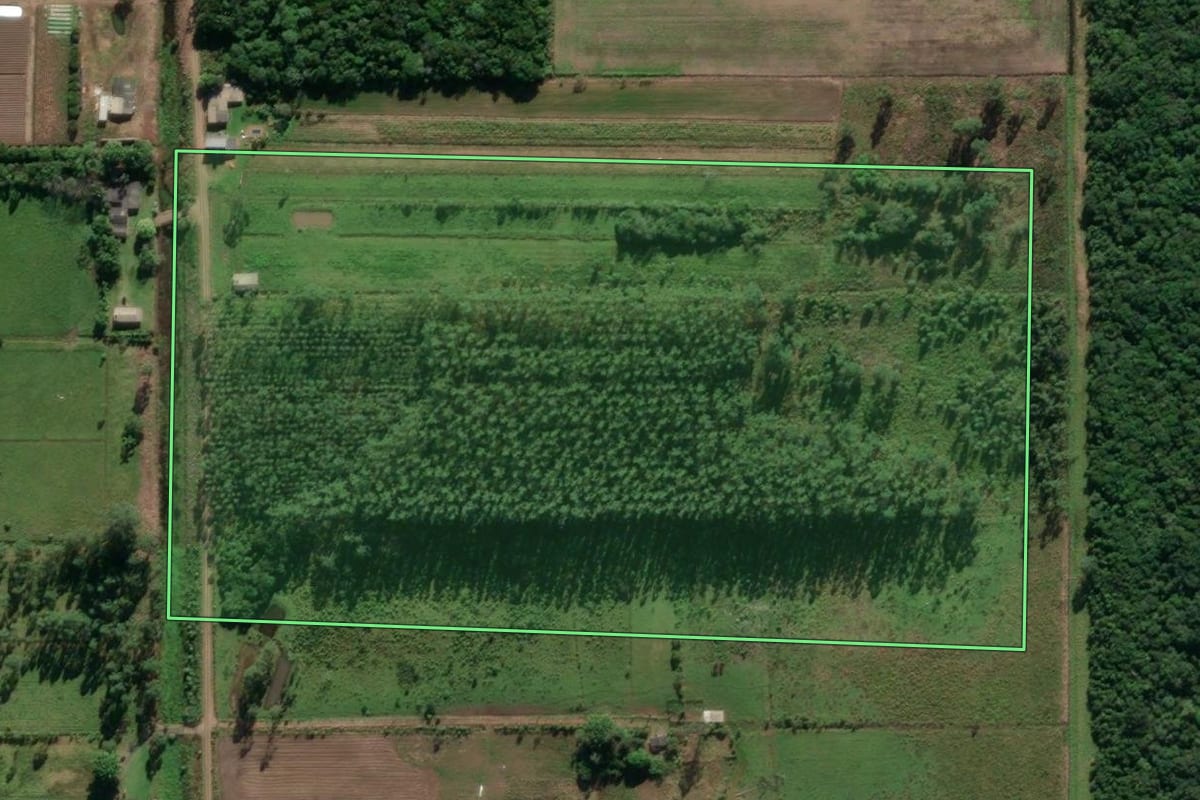 Imagem de satélite do imóvel rural em Santa Rosa do Sul (SC), com o contorno declarado no CAR desenhado por cima.