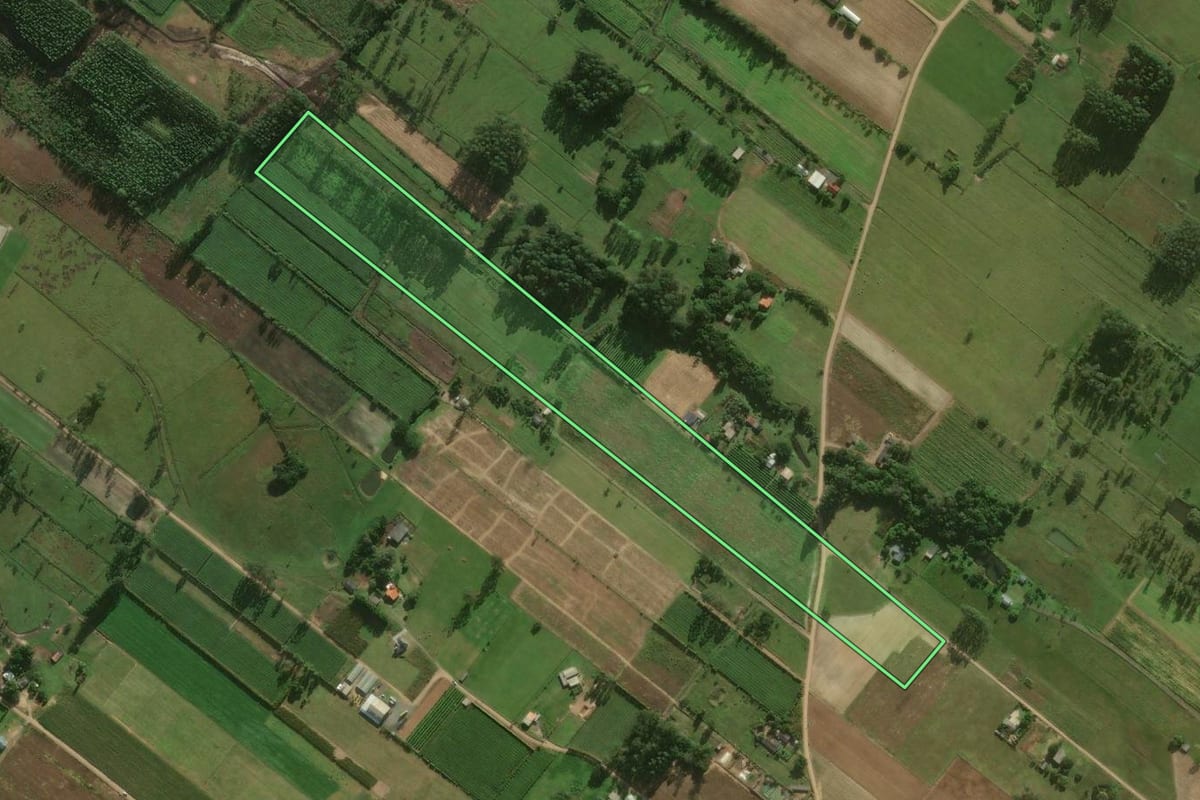 Imagem de satélite do imóvel rural em Santa Rosa do Sul (SC), com o contorno declarado no CAR desenhado por cima.