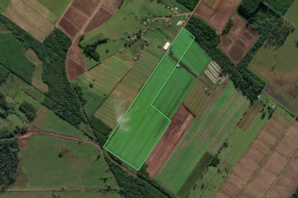 Imagem de satélite do imóvel rural em Santa Rosa do Sul (SC), com o contorno declarado no CAR desenhado por cima.