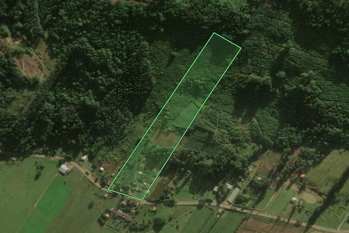 Imagem de satélite do imóvel rural em Santa Rosa do Sul (SC), com o contorno declarado no CAR desenhado por cima.
