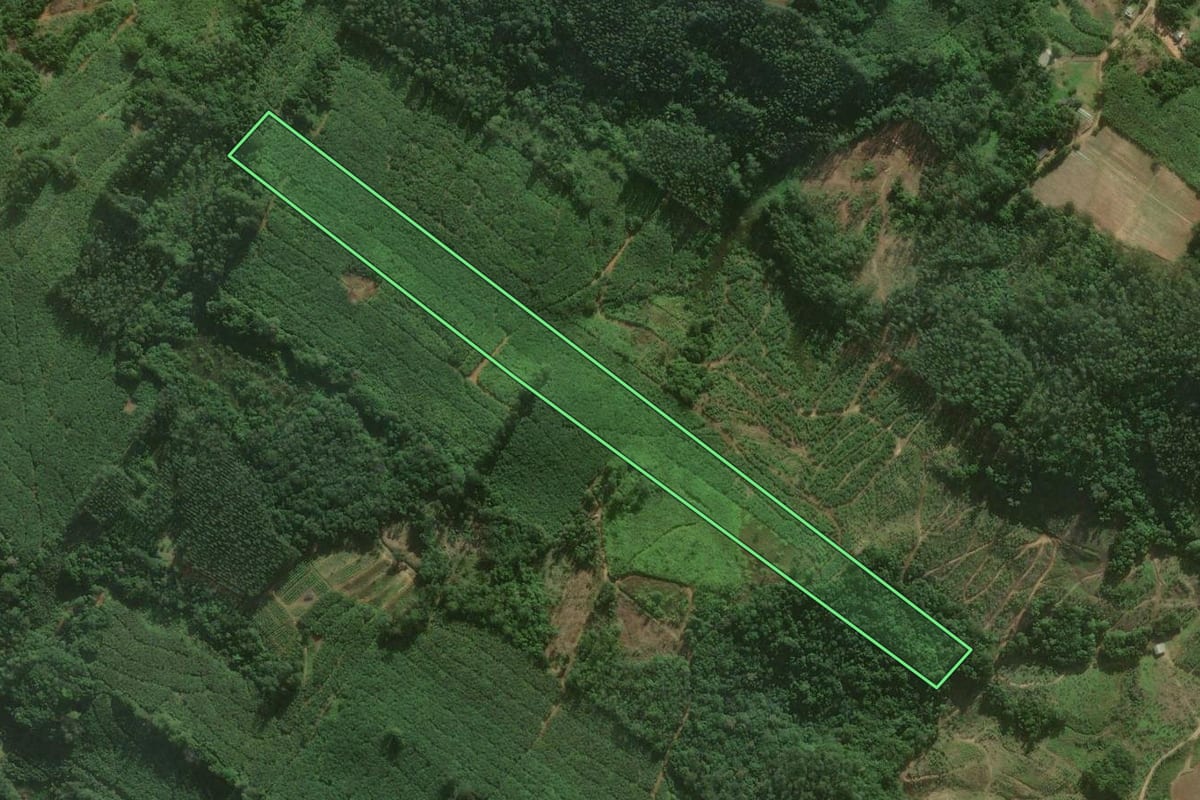 Imagem de satélite do imóvel rural em Santa Rosa do Sul (SC), com o contorno declarado no CAR desenhado por cima.