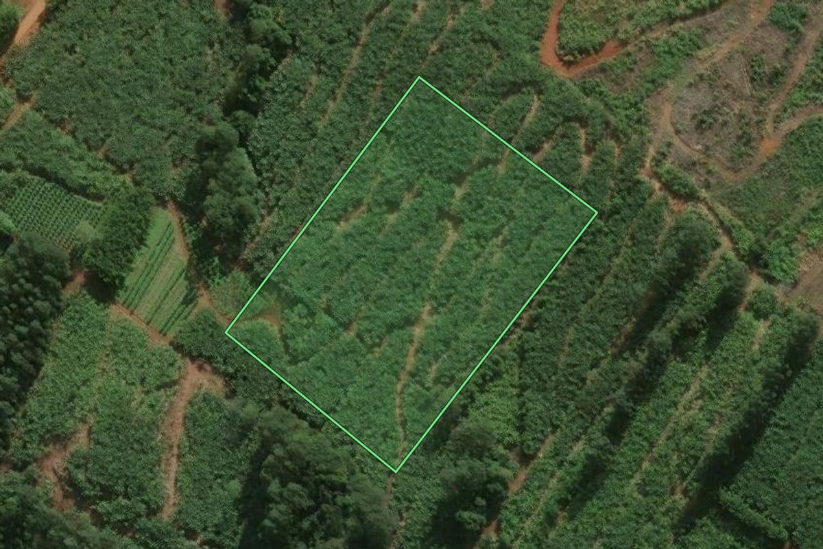 Imagem de satélite do imóvel rural em Santa Rosa do Sul (SC), com o contorno declarado no CAR desenhado por cima.