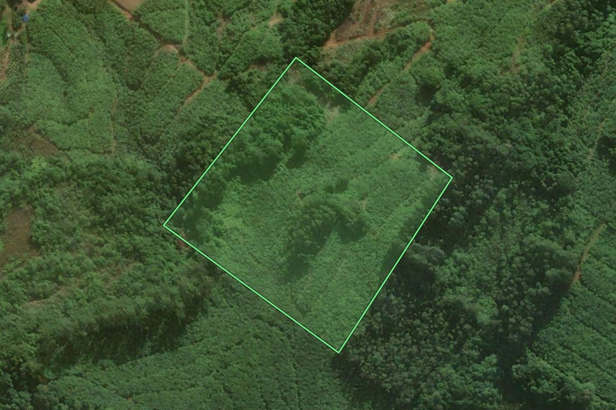 Imagem de satélite do imóvel rural em Santa Rosa do Sul (SC), com o contorno declarado no CAR desenhado por cima.