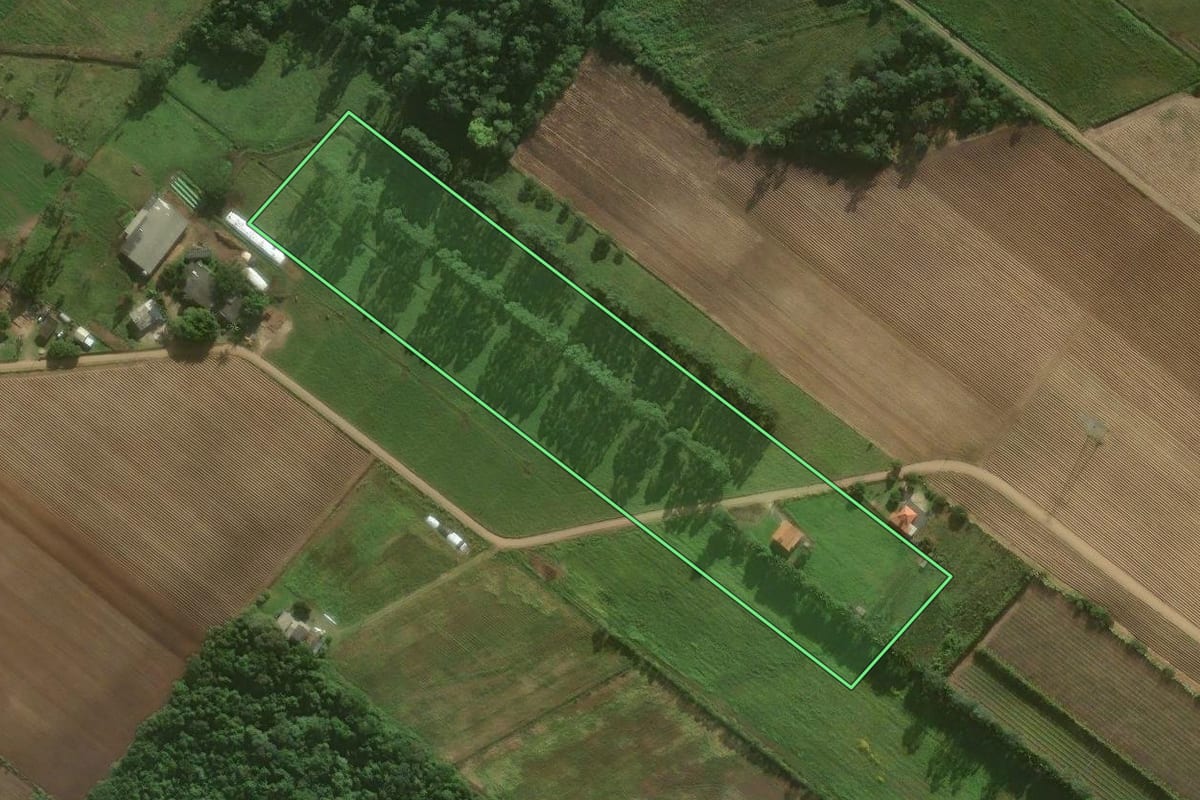 Imagem de satélite do imóvel rural em Santa Rosa do Sul (SC), com o contorno declarado no CAR desenhado por cima.