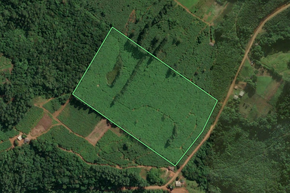 Imagem de satélite do imóvel rural em Santa Rosa do Sul (SC), com o contorno declarado no CAR desenhado por cima.