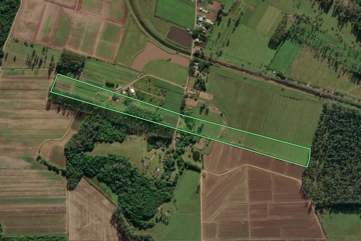 Imagem de satélite do imóvel rural em Santa Rosa do Sul (SC), com o contorno declarado no CAR desenhado por cima.