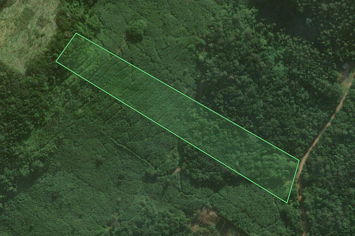 Imagem de satélite do imóvel rural em Santa Rosa do Sul (SC), com o contorno declarado no CAR desenhado por cima.