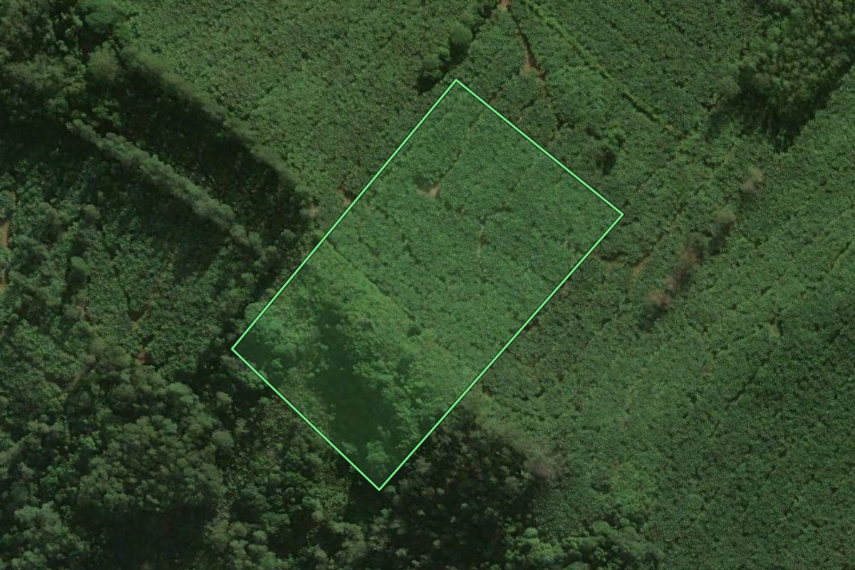 Imagem de satélite do imóvel rural em Santa Rosa do Sul (SC), com o contorno declarado no CAR desenhado por cima.