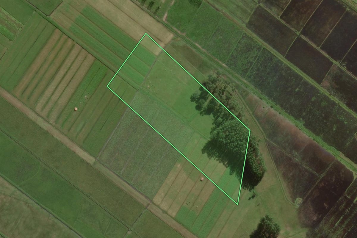 Imagem de satélite do imóvel rural em Santa Rosa do Sul (SC), com o contorno declarado no CAR desenhado por cima.