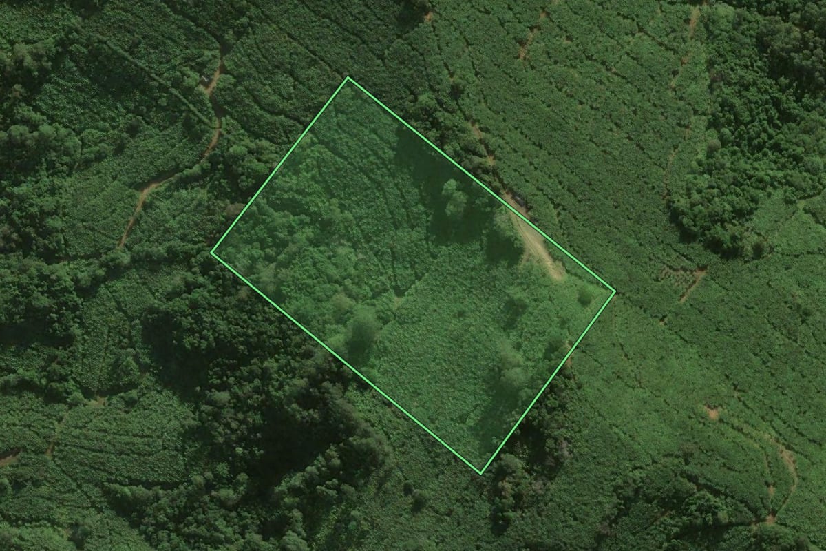Imagem de satélite do imóvel rural em Santa Rosa do Sul (SC), com o contorno declarado no CAR desenhado por cima.