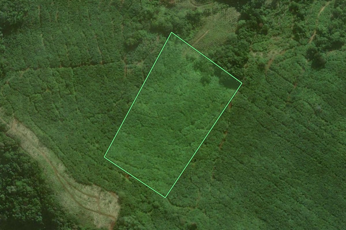 Imagem de satélite do imóvel rural em Santa Rosa do Sul (SC), com o contorno declarado no CAR desenhado por cima.
