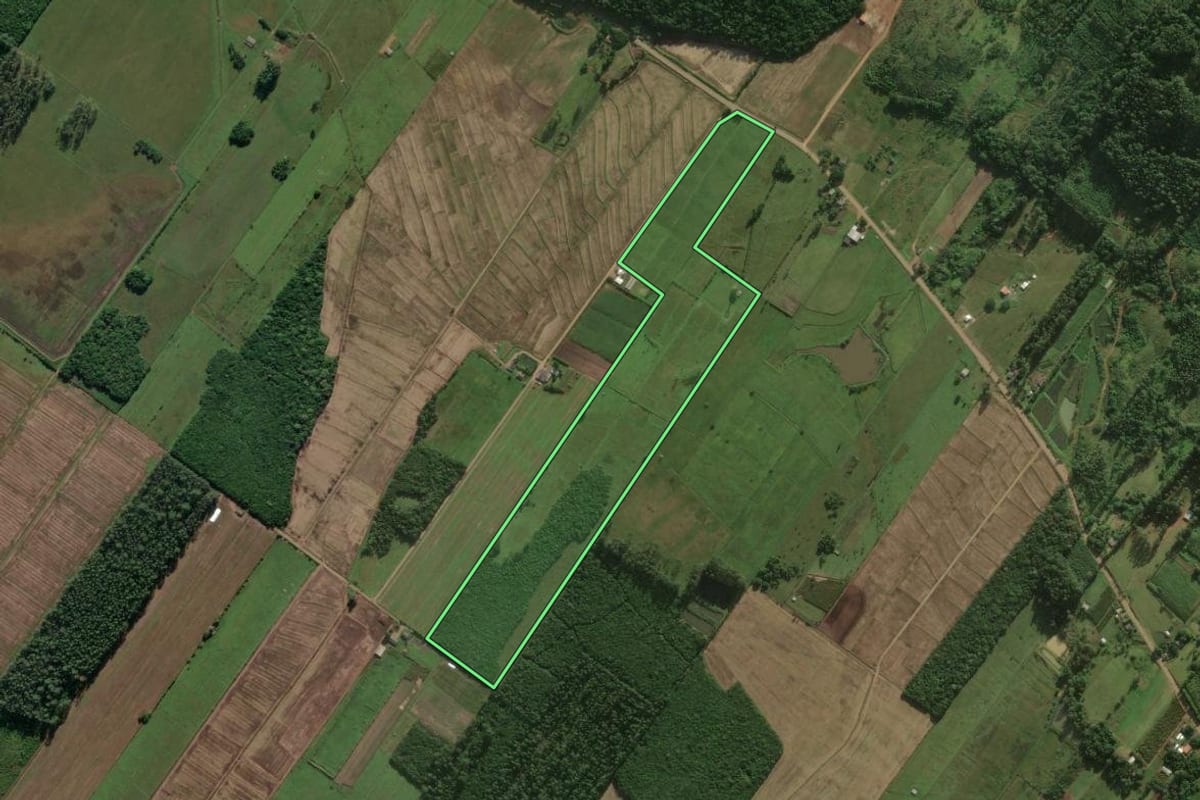 Imagem de satélite do imóvel rural em Santa Rosa do Sul (SC), com o contorno declarado no CAR desenhado por cima.