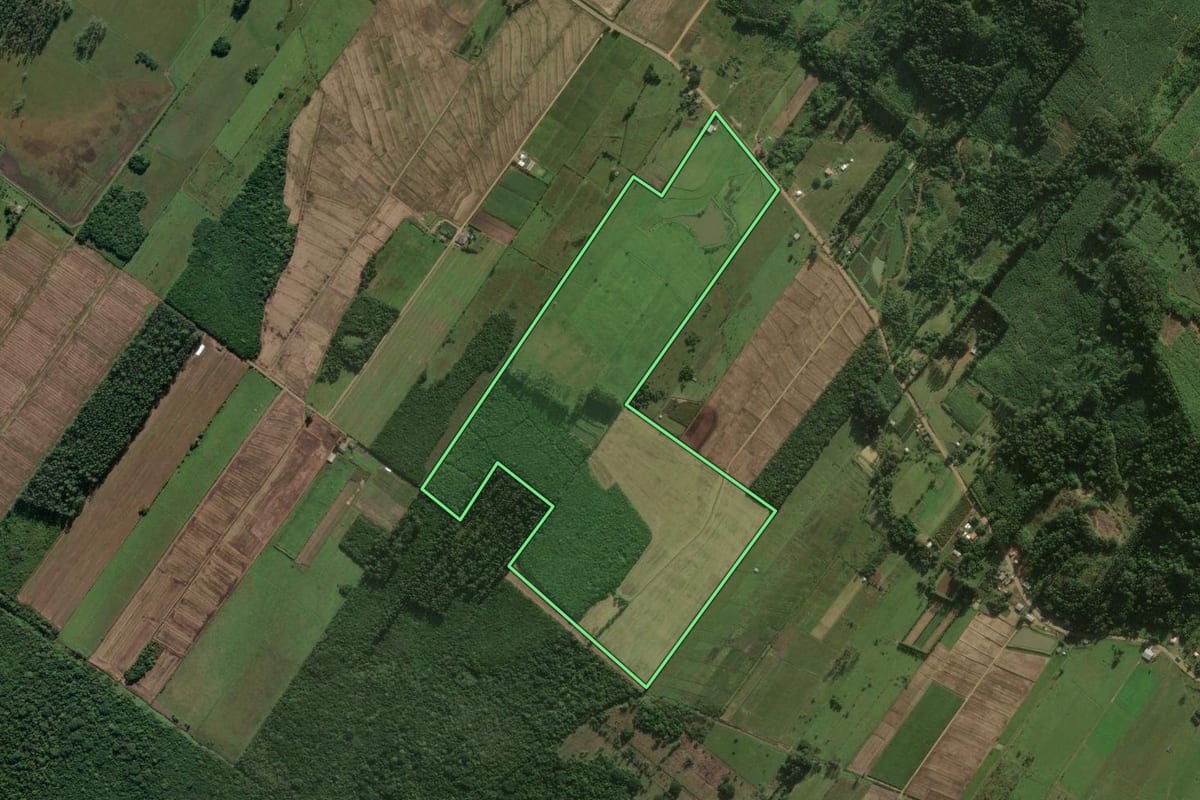 Imagem de satélite do imóvel rural em Santa Rosa do Sul (SC), com o contorno declarado no CAR desenhado por cima.