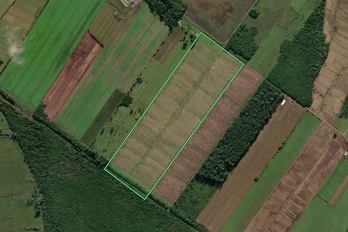 Imagem de satélite do imóvel rural em Santa Rosa do Sul (SC), com o contorno declarado no CAR desenhado por cima.