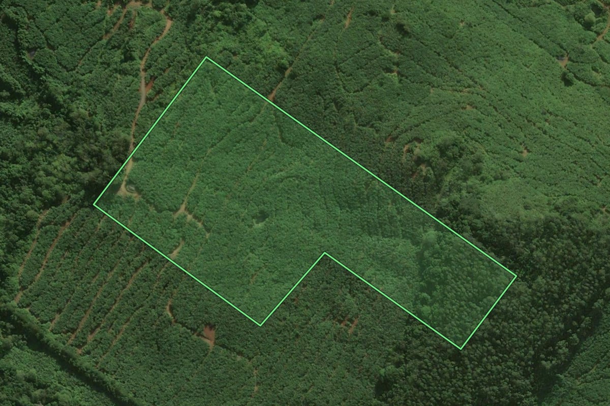 Imagem de satélite do imóvel rural em Santa Rosa do Sul (SC), com o contorno declarado no CAR desenhado por cima.
