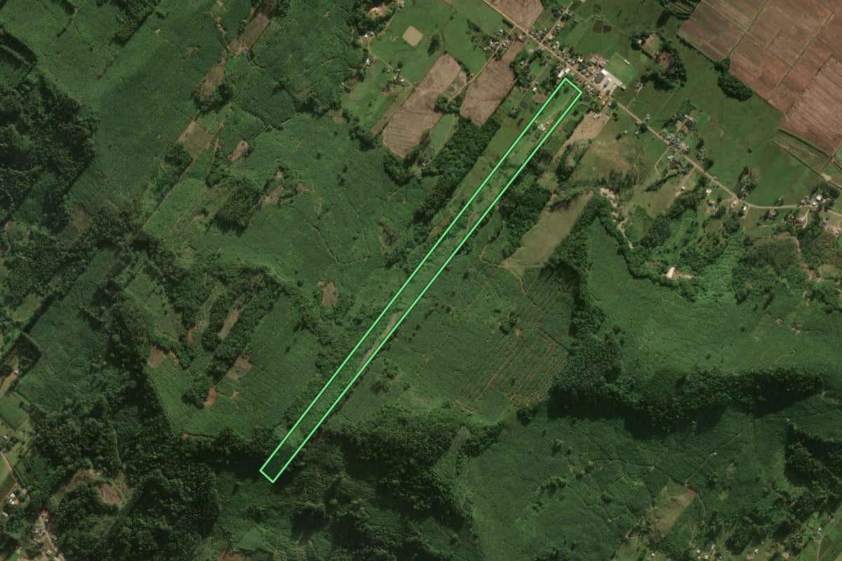 Imagem de satélite do imóvel rural em Santa Rosa do Sul (SC), com o contorno declarado no CAR desenhado por cima.