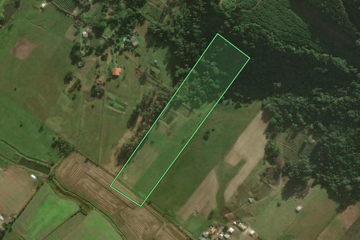Imagem de satélite do imóvel rural em Santa Rosa do Sul (SC), com o contorno declarado no CAR desenhado por cima.