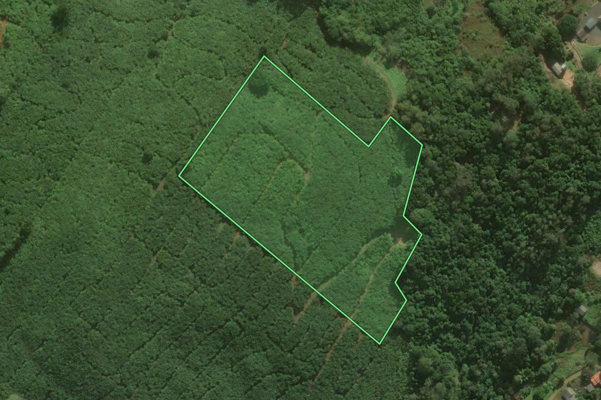 Imagem de satélite do imóvel rural em Santa Rosa do Sul (SC), com o contorno declarado no CAR desenhado por cima.