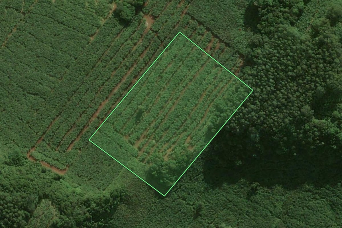 Imagem de satélite do imóvel rural em Santa Rosa do Sul (SC), com o contorno declarado no CAR desenhado por cima.