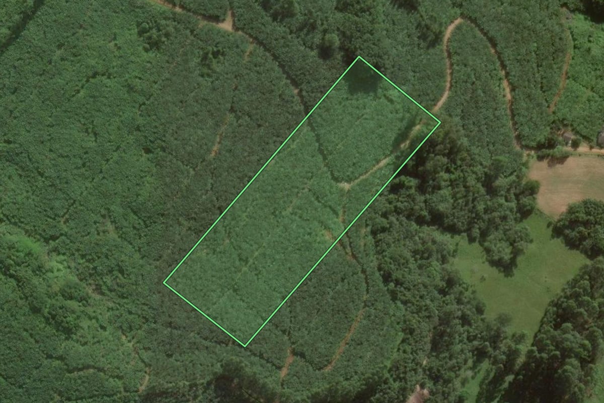 Imagem de satélite do imóvel rural em Santa Rosa do Sul (SC), com o contorno declarado no CAR desenhado por cima.