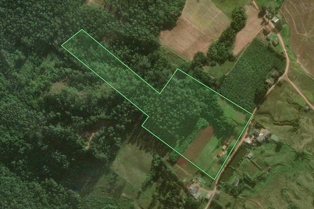Imagem de satélite do imóvel rural em Santa Rosa do Sul (SC), com o contorno declarado no CAR desenhado por cima.