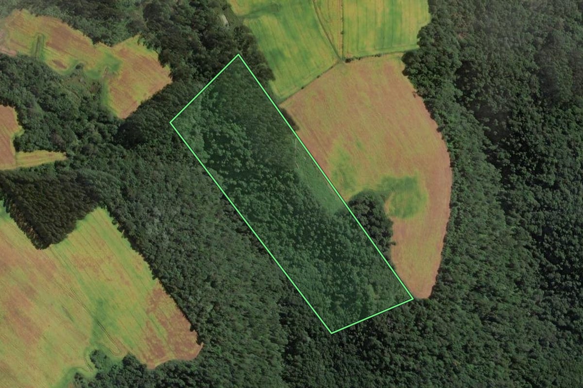 Imagem de satélite do imóvel rural em Santa Terezinha (SC), com o contorno declarado no CAR desenhado por cima.