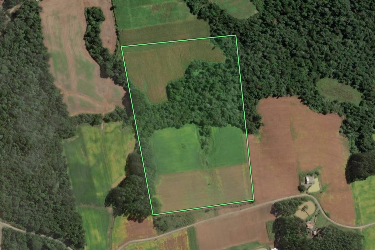 Imagem de satélite do imóvel rural em Santa Terezinha (SC), com o contorno declarado no CAR desenhado por cima.