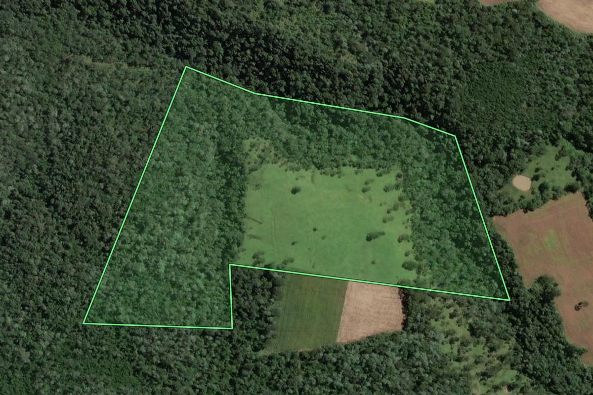 Imagem de satélite do imóvel rural em Santa Terezinha (SC), com o contorno declarado no CAR desenhado por cima.