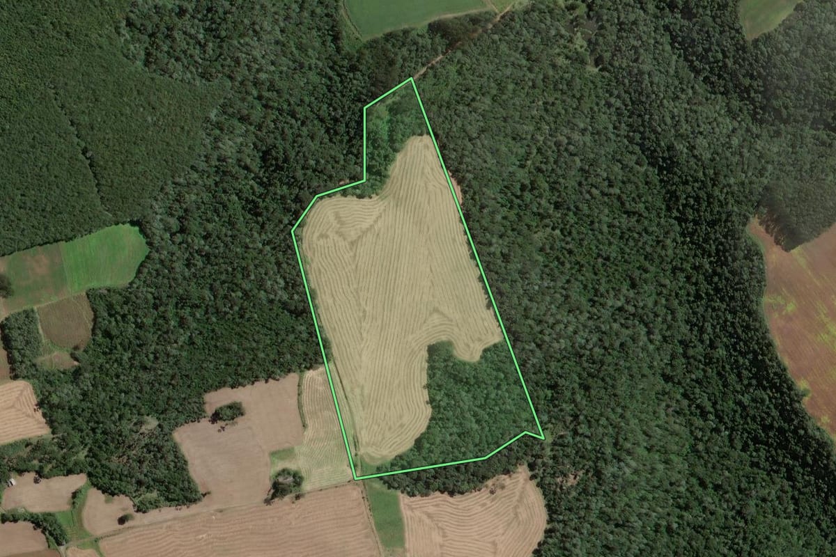 Imagem de satélite do imóvel rural em Santa Terezinha (SC), com o contorno declarado no CAR desenhado por cima.