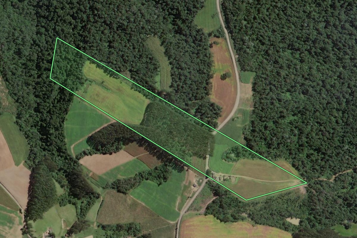 Imagem de satélite do imóvel rural em Santa Terezinha (SC), com o contorno declarado no CAR desenhado por cima.