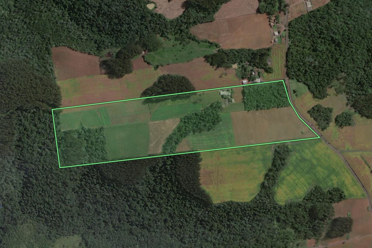 Imagem de satélite do imóvel rural em Santa Terezinha (SC), com o contorno declarado no CAR desenhado por cima.