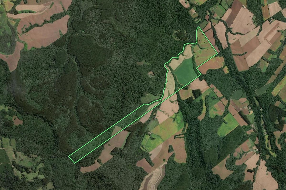 Imagem de satélite do imóvel rural em Santa Terezinha (SC), com o contorno declarado no CAR desenhado por cima.