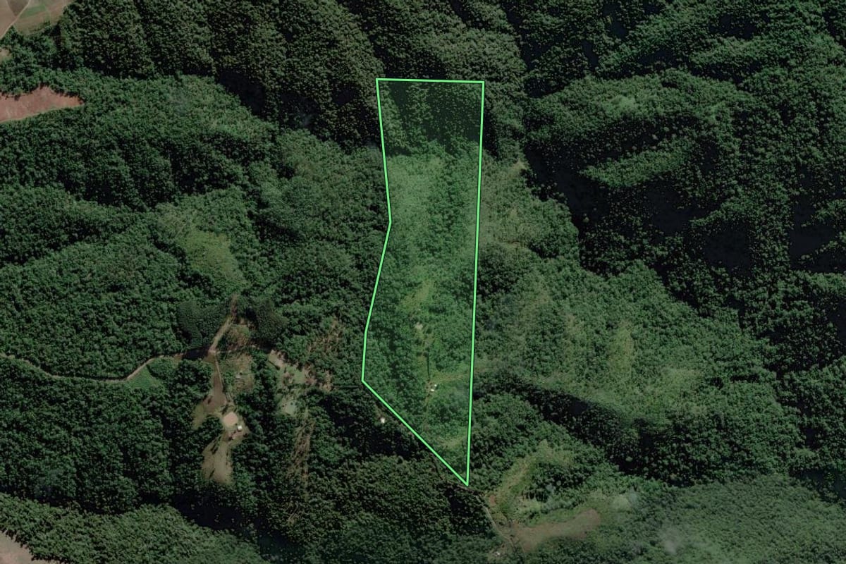 Imagem de satélite do imóvel rural em Santa Terezinha (SC), com o contorno declarado no CAR desenhado por cima.