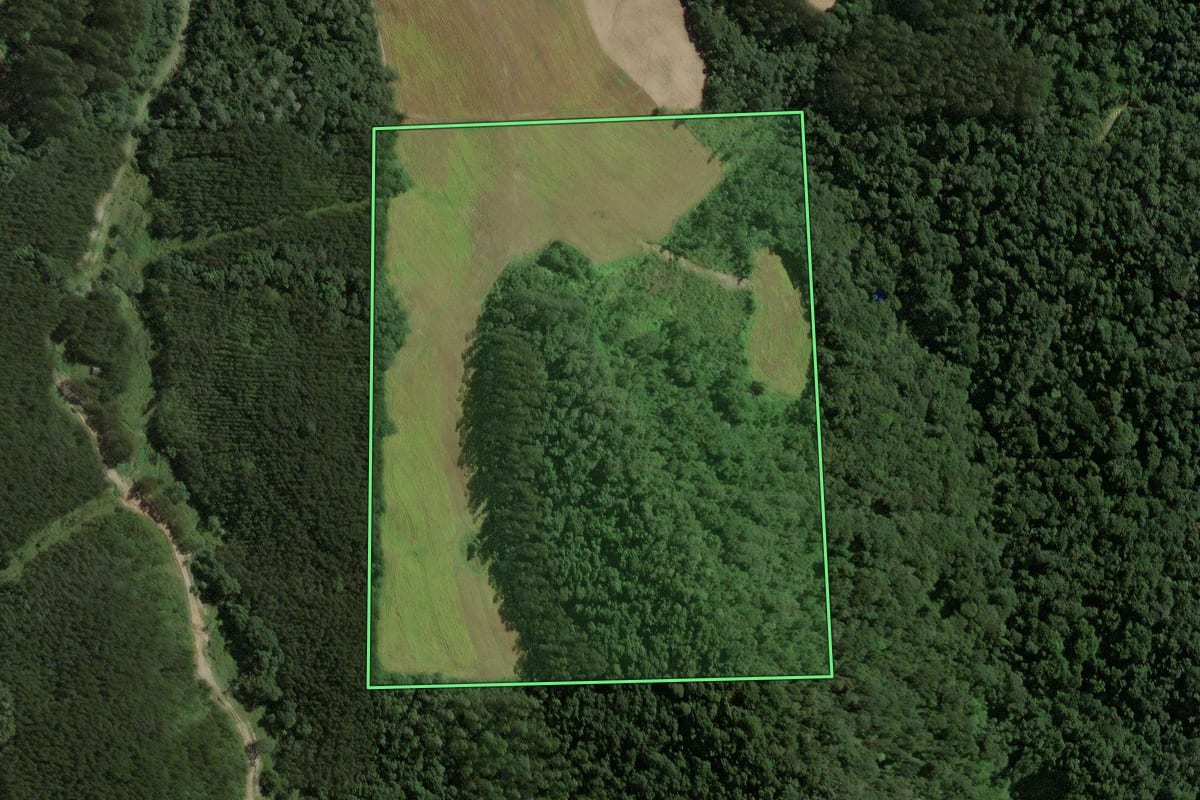 Imagem de satélite do imóvel rural em Santa Terezinha (SC), com o contorno declarado no CAR desenhado por cima.