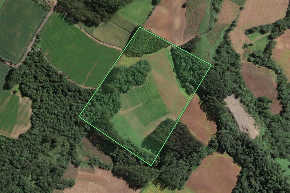 Imagem de satélite do imóvel rural em Santa Terezinha (SC), com o contorno declarado no CAR desenhado por cima.