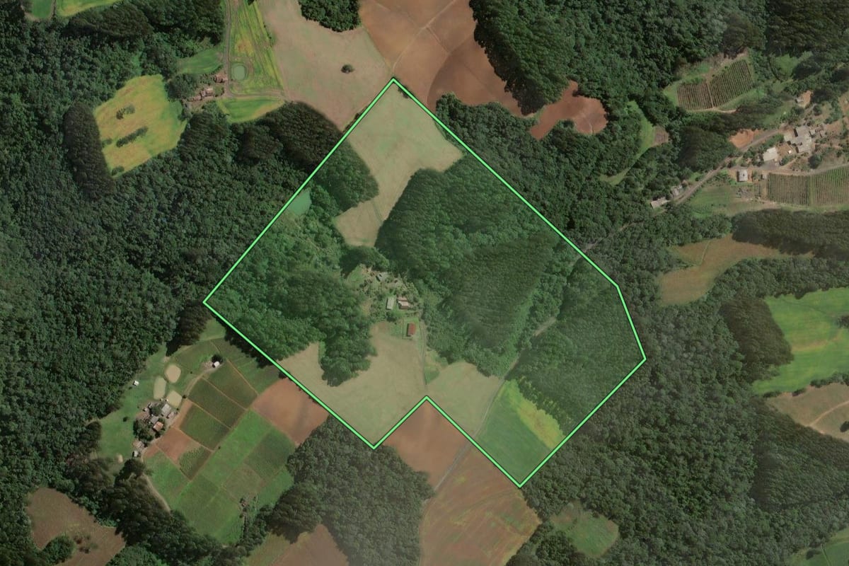 Imagem de satélite do imóvel rural em Santa Terezinha (SC), com o contorno declarado no CAR desenhado por cima.