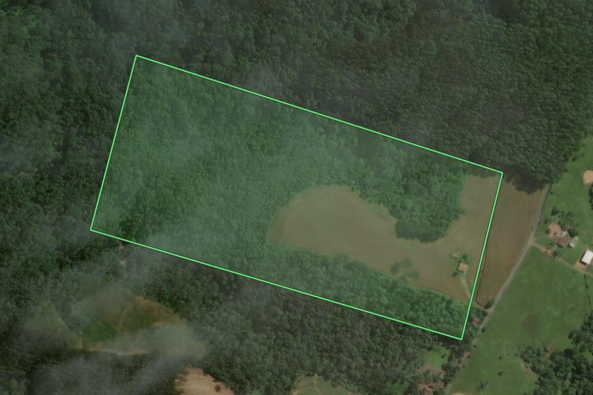 Imagem de satélite do imóvel rural em Santa Terezinha (SC), com o contorno declarado no CAR desenhado por cima.