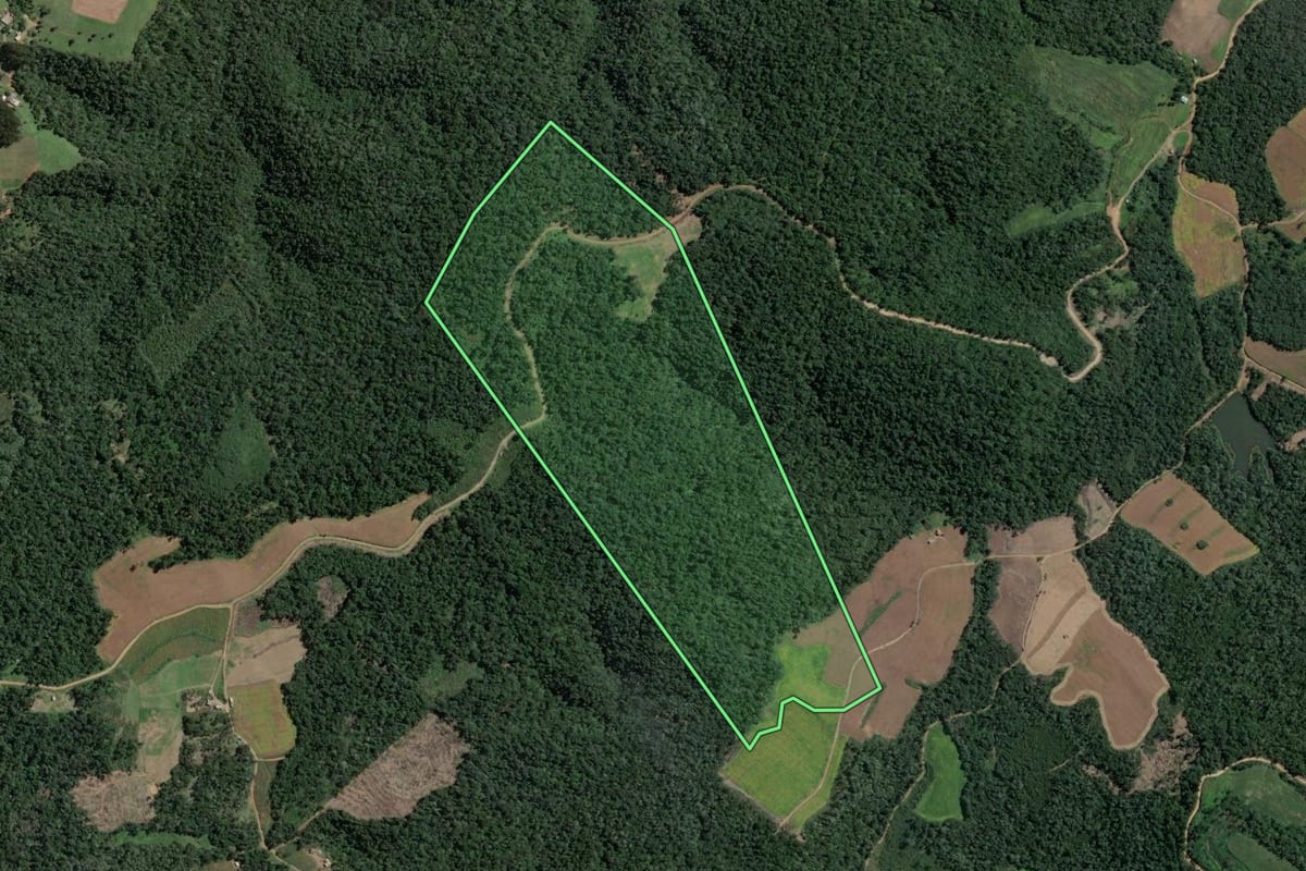 Imagem de satélite do imóvel rural em Santa Terezinha (SC), com o contorno declarado no CAR desenhado por cima.