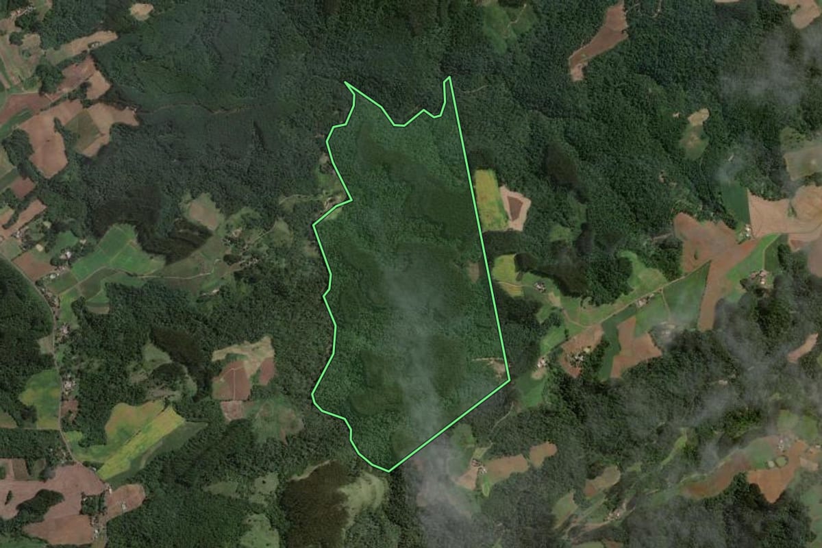 Imagem de satélite do imóvel rural em Santa Terezinha (SC), com o contorno declarado no CAR desenhado por cima.