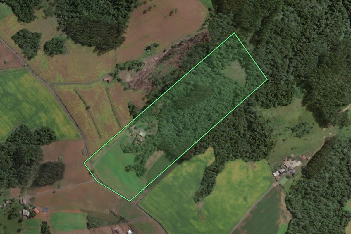 Imagem de satélite do imóvel rural em Santa Terezinha (SC), com o contorno declarado no CAR desenhado por cima.