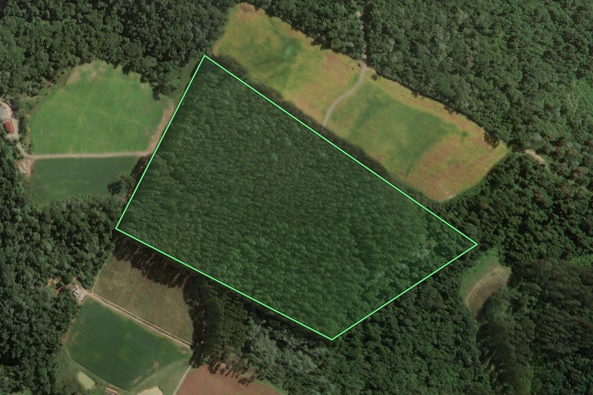 Imagem de satélite do imóvel rural em Santa Terezinha (SC), com o contorno declarado no CAR desenhado por cima.